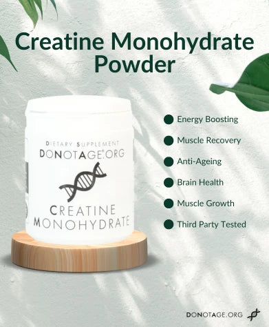 Creatine Monohydrate Powder
