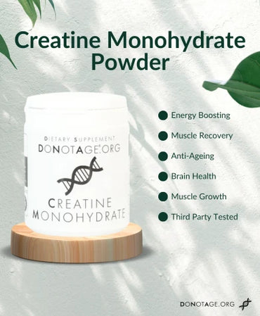 Creatine Monohydrate Powder