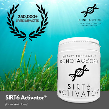 SIRT6 ActivatorÂ®