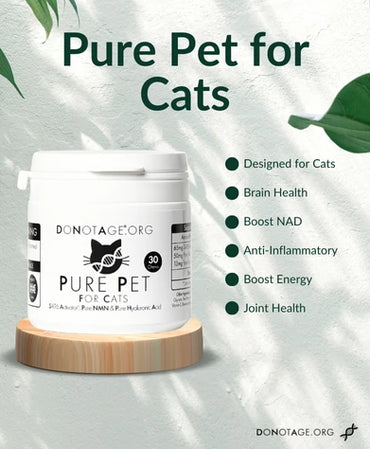 Pure Pet for Cats