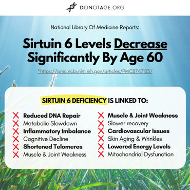 SIRT6 Activator®