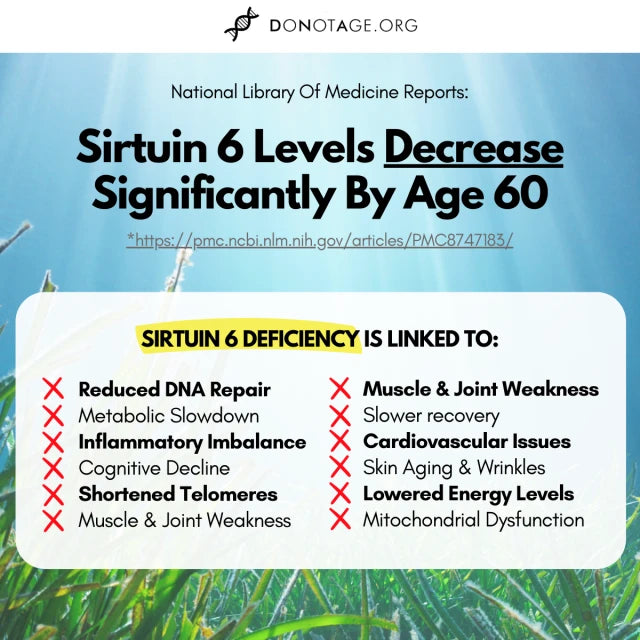SIRT6 ActivatorÂ®