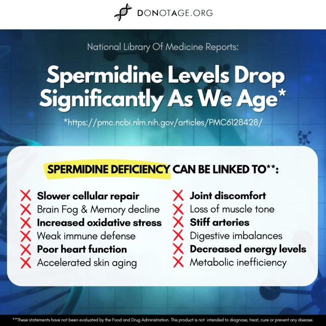 Pure Spermidine