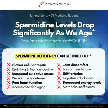 Pure Spermidine
