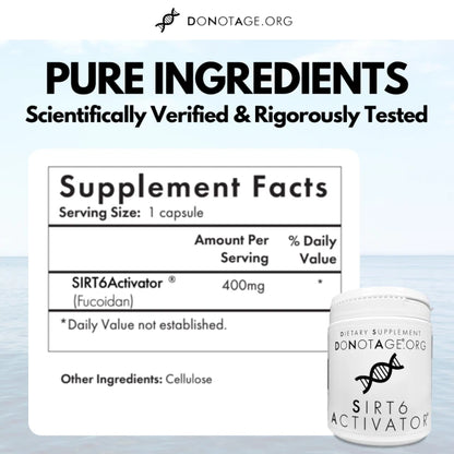 SIRT6 Activator®