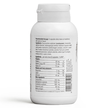 Arthro Formula 4 GOLD