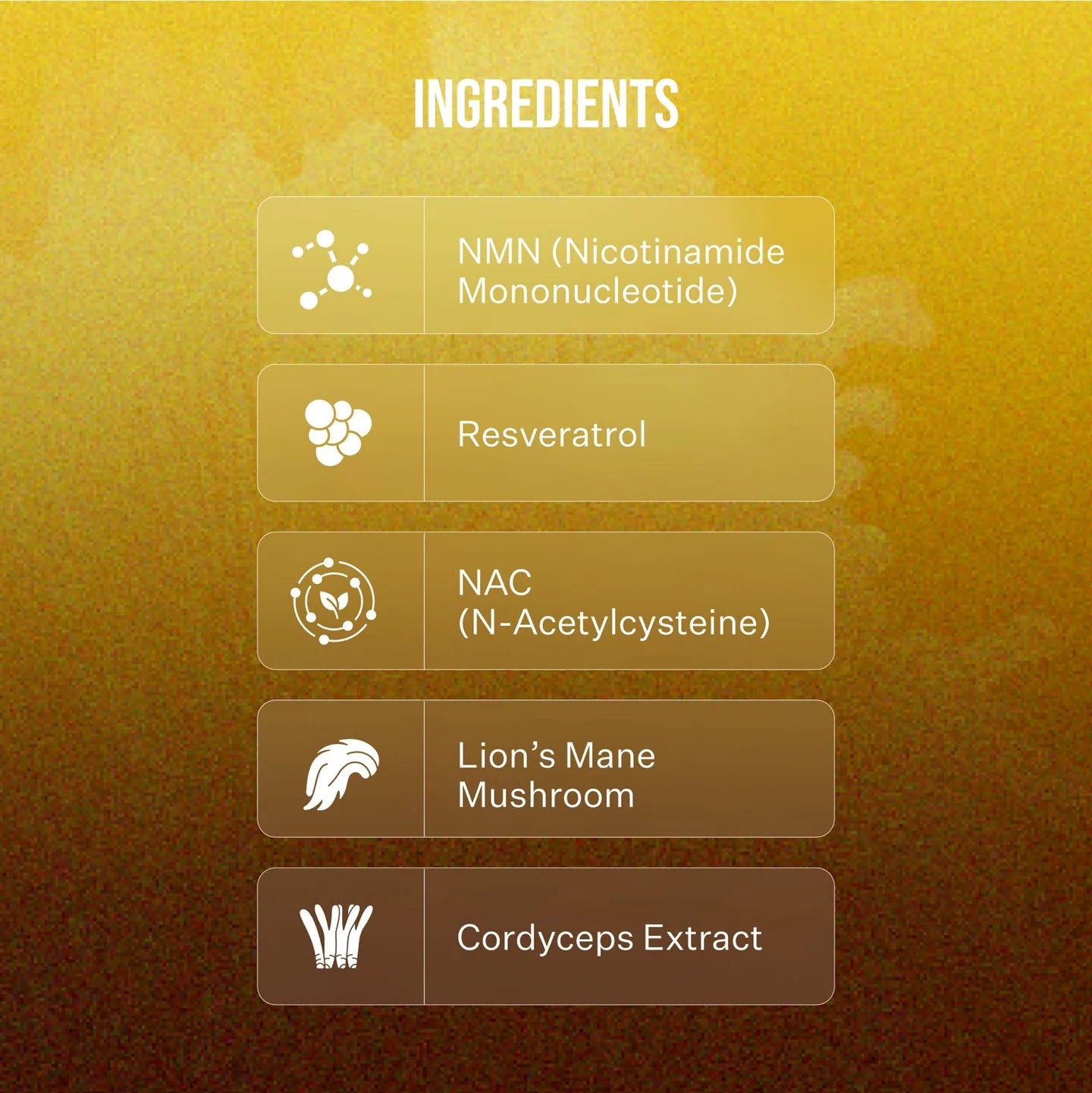 NAD+ LONGEVITY PATCHES